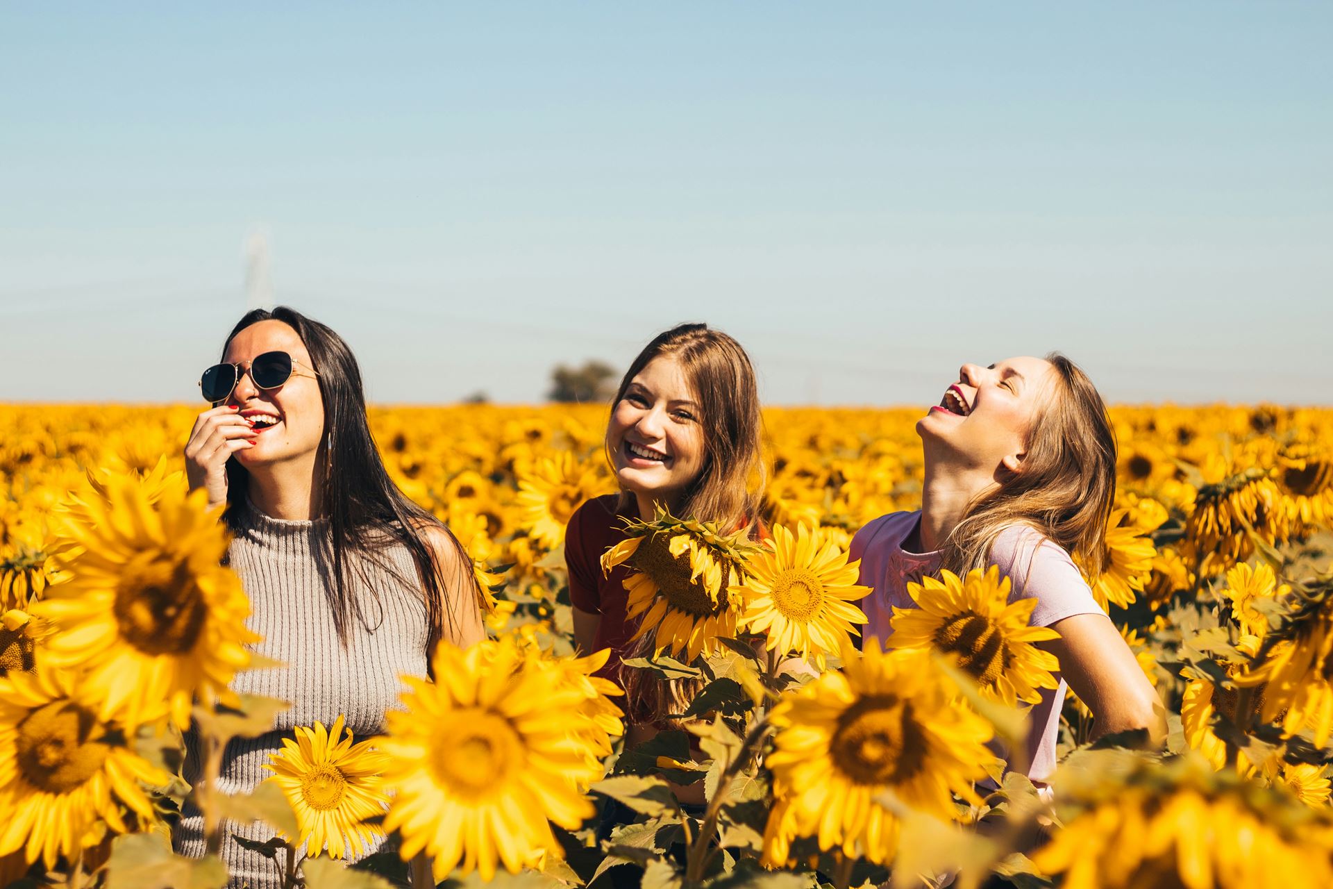 3 women in sunflower field