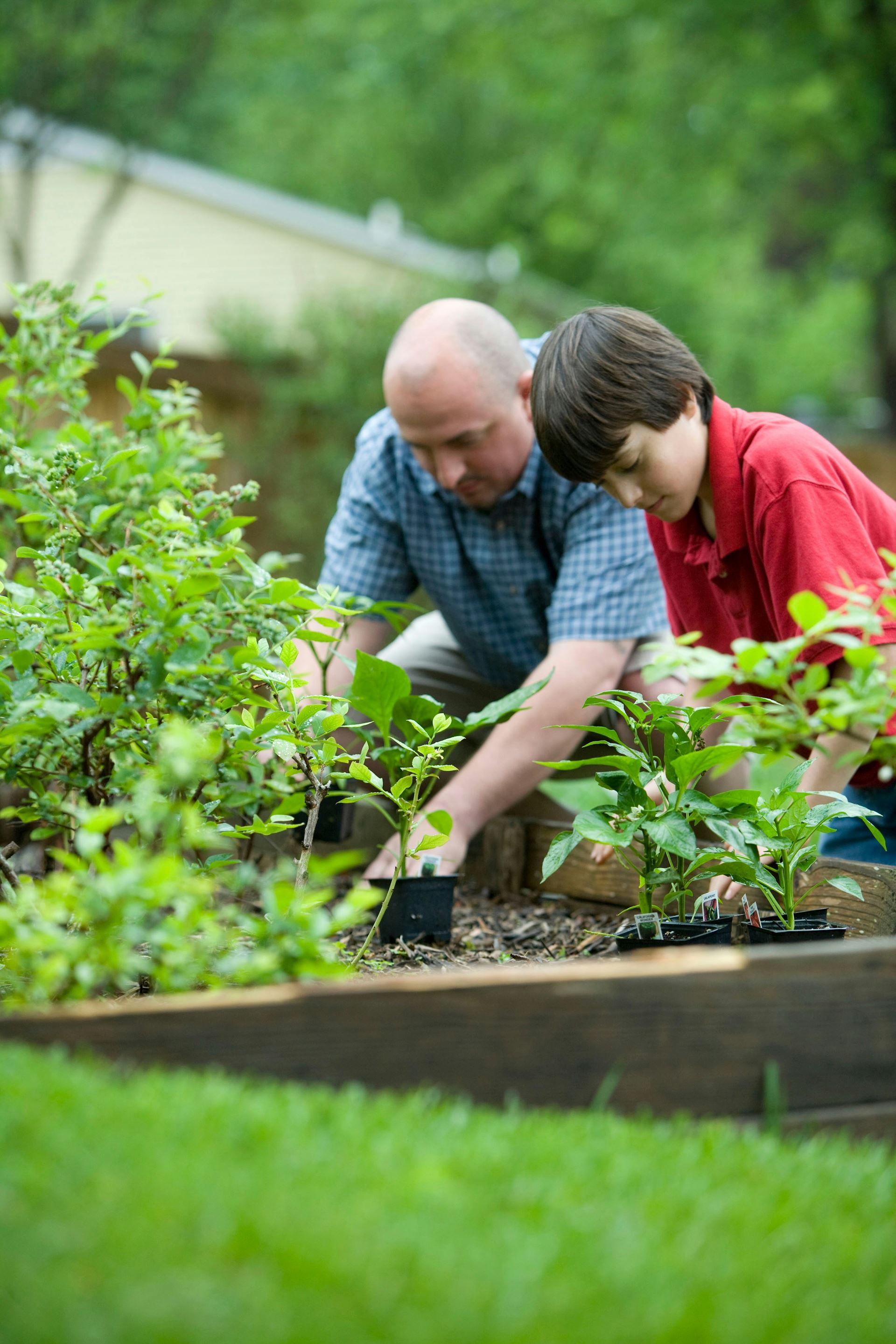 man and child gardening